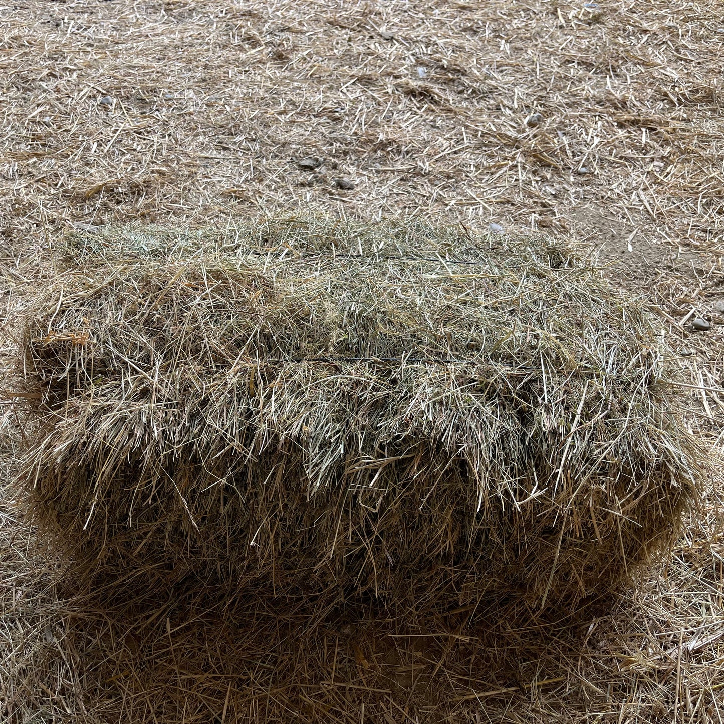 Sud Ouest Fourrages - Foin dépoussiéré (20kg)