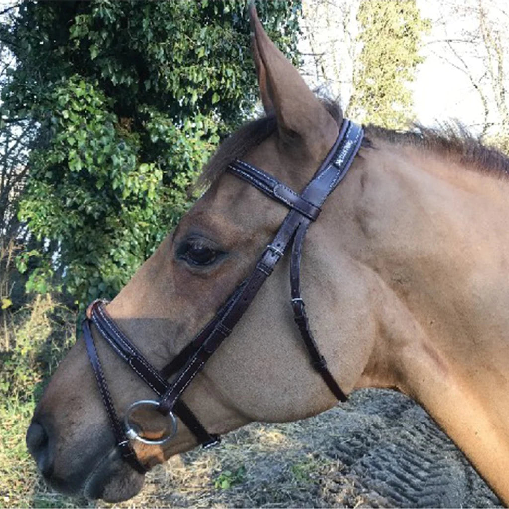 CAVALETTI - Bridon Classique