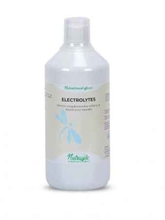 Nutragile - Electrolytes